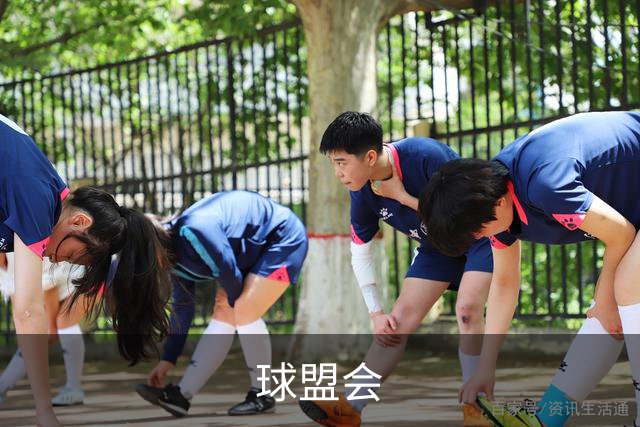 球盟会公司简介展示图